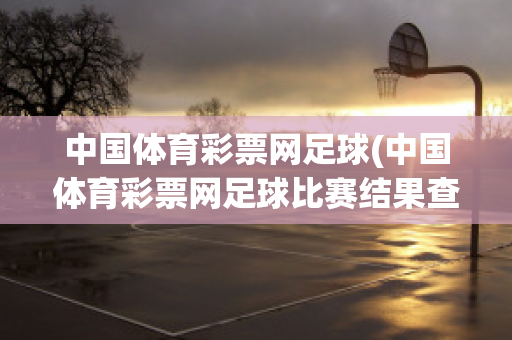 中国体育彩票网足球(中国体育彩票网足球比赛结果查询)